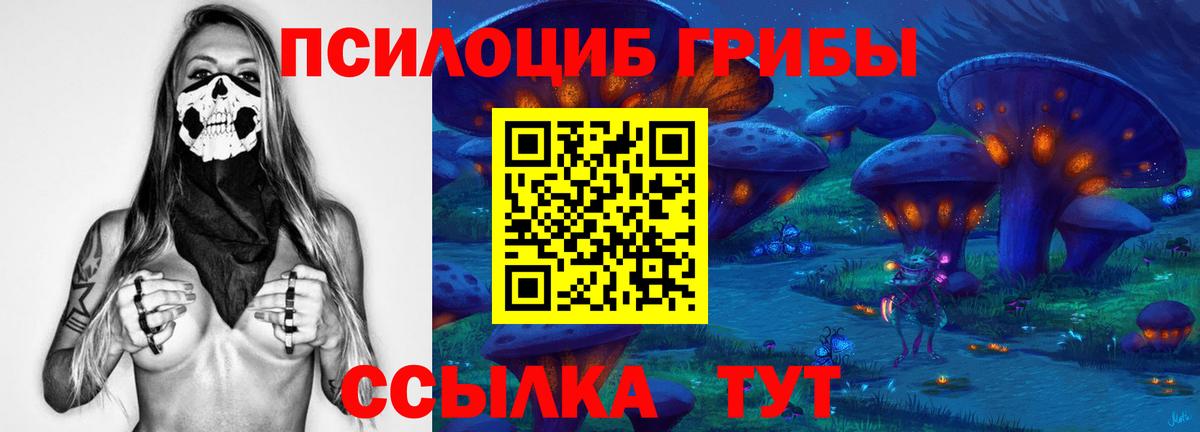 Коряжма  где найти   Вход с VPN  Псилоцибиновые грибы Cubensis 